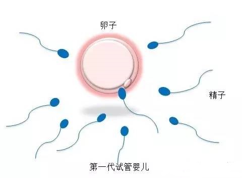 好孕案例